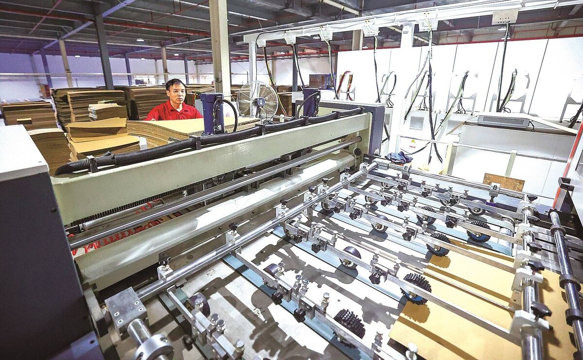 Automated corrugated carton line