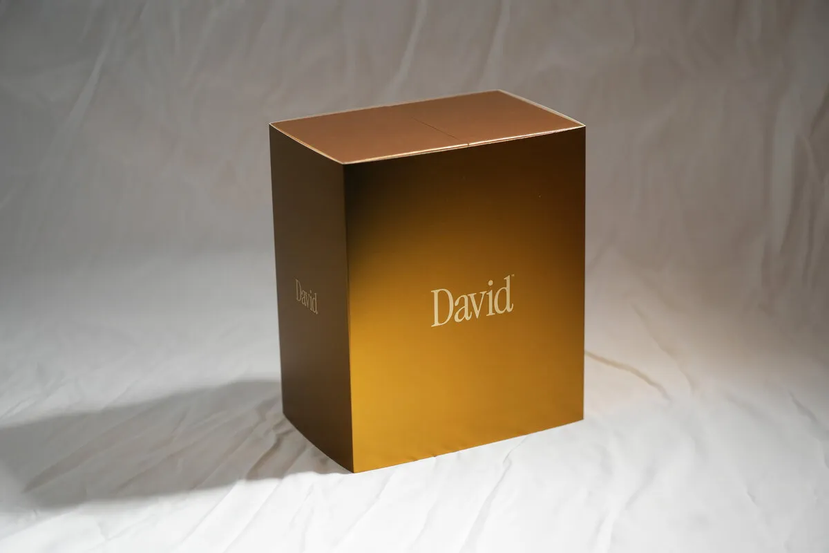 Custom Sample Box — David packaging photo 2