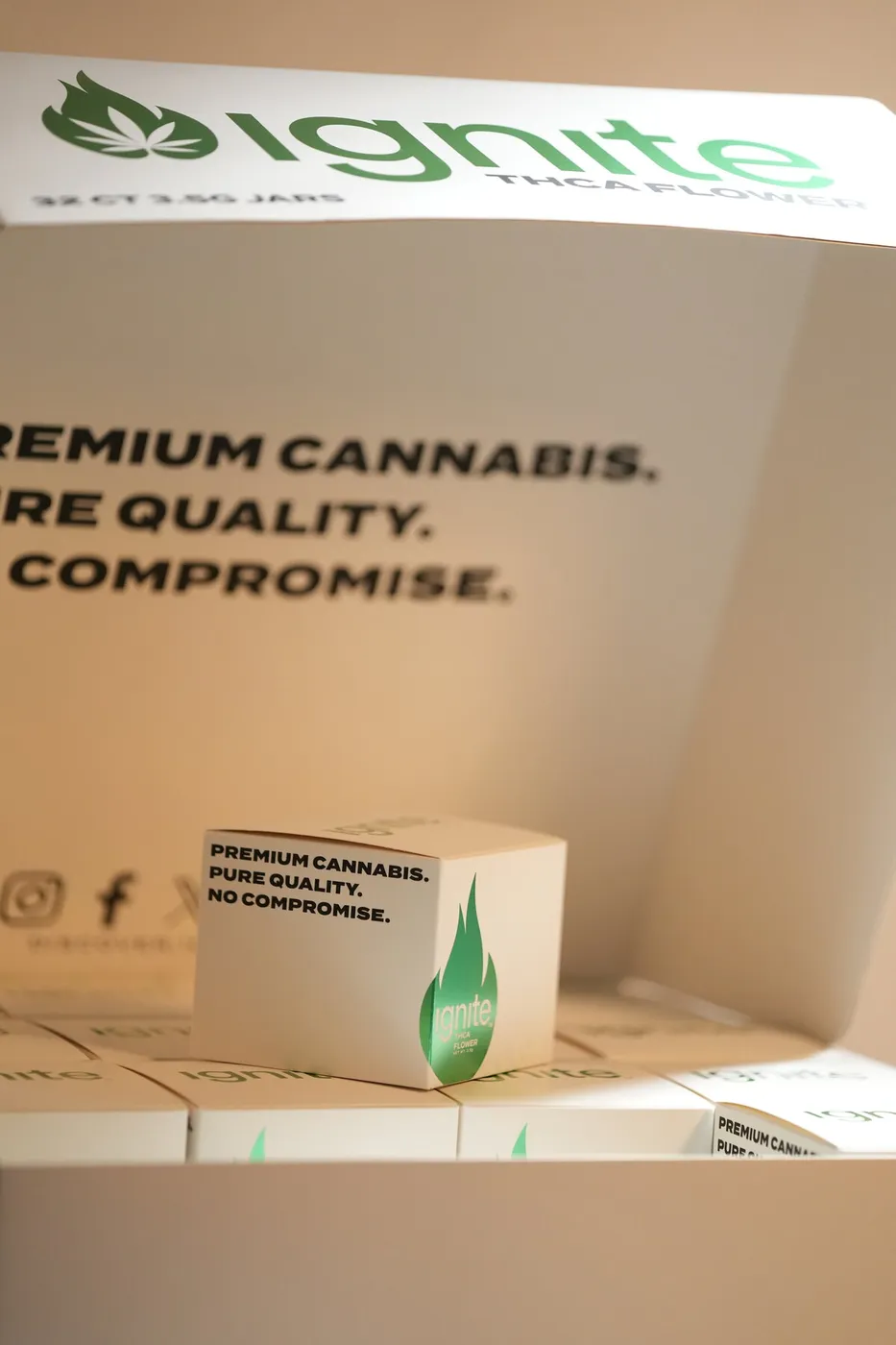 Custom Premium Product Box — Ignite packaging photo 3